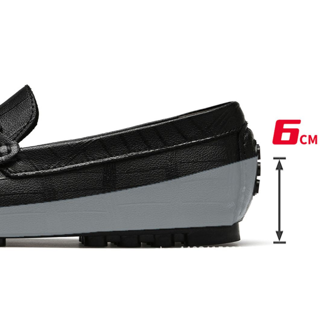 guido-23