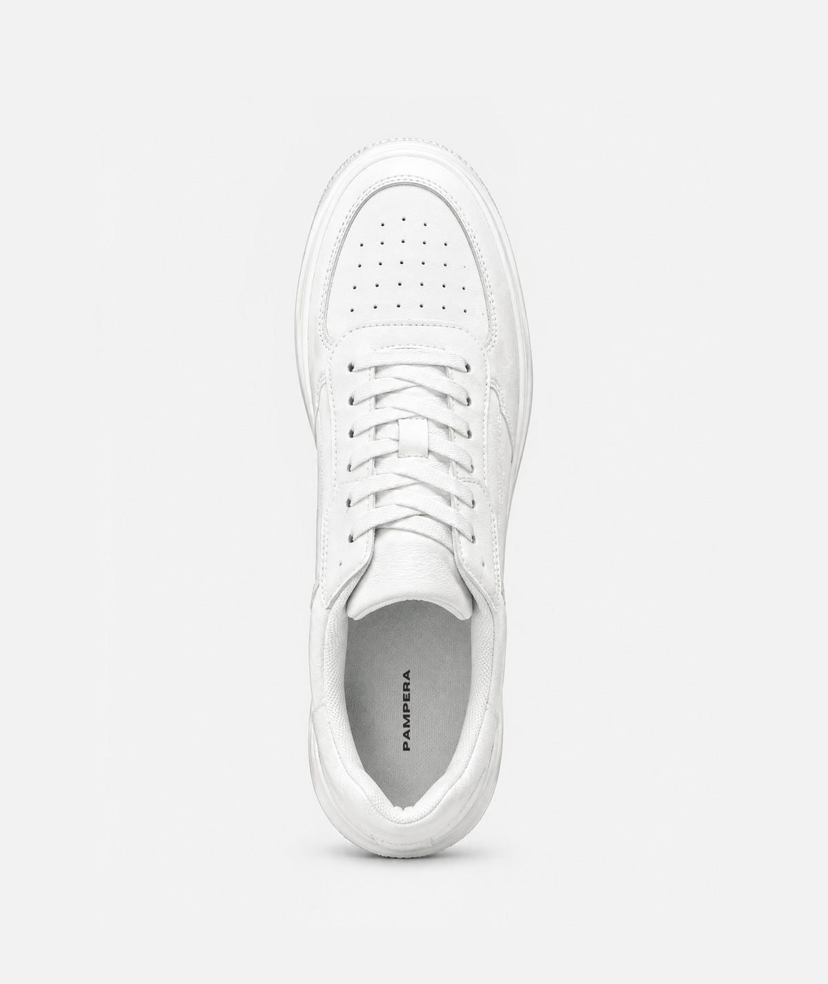 Polaris White