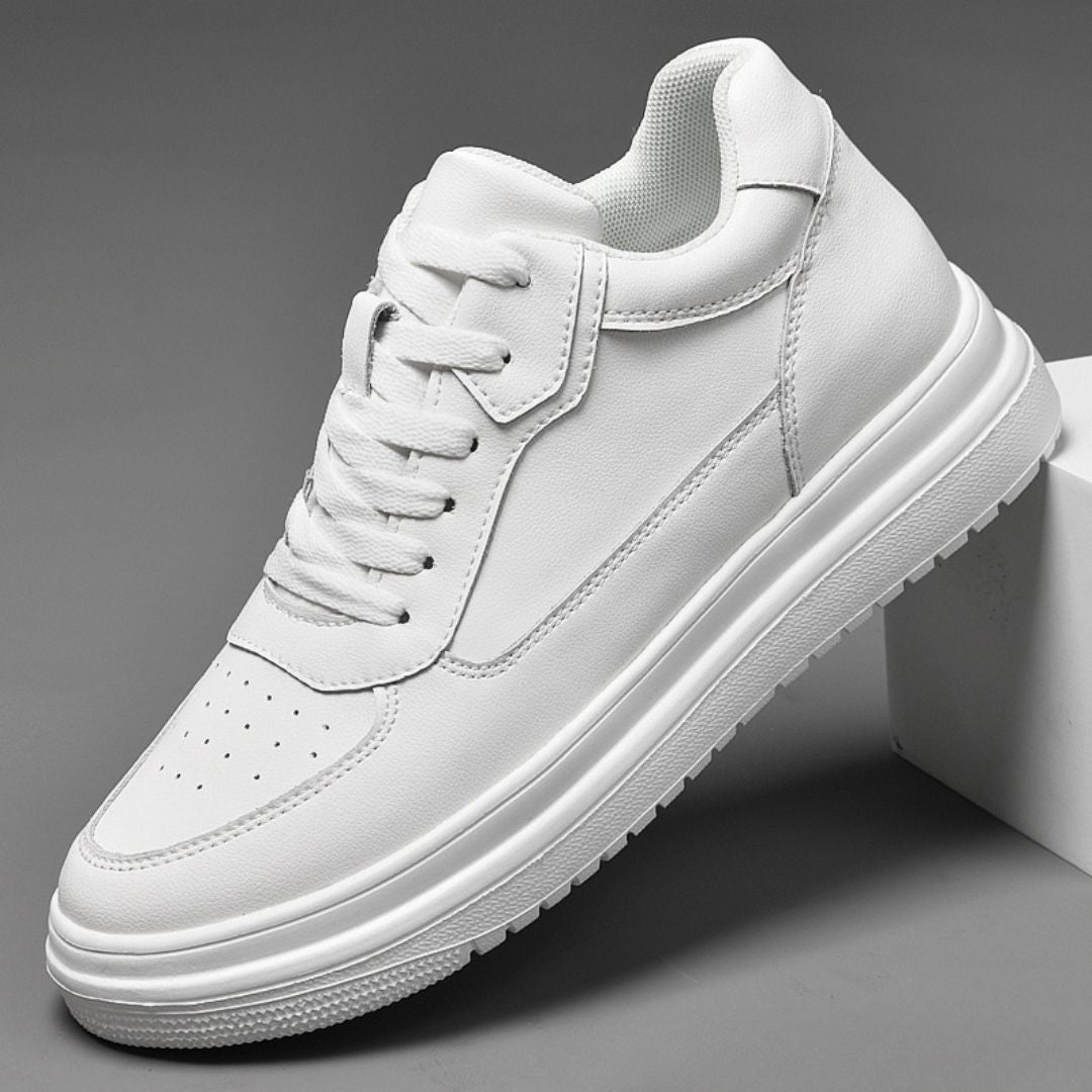 polar-19